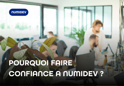 agence informatique numidev confiance