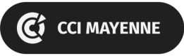 CCI53 Logo
